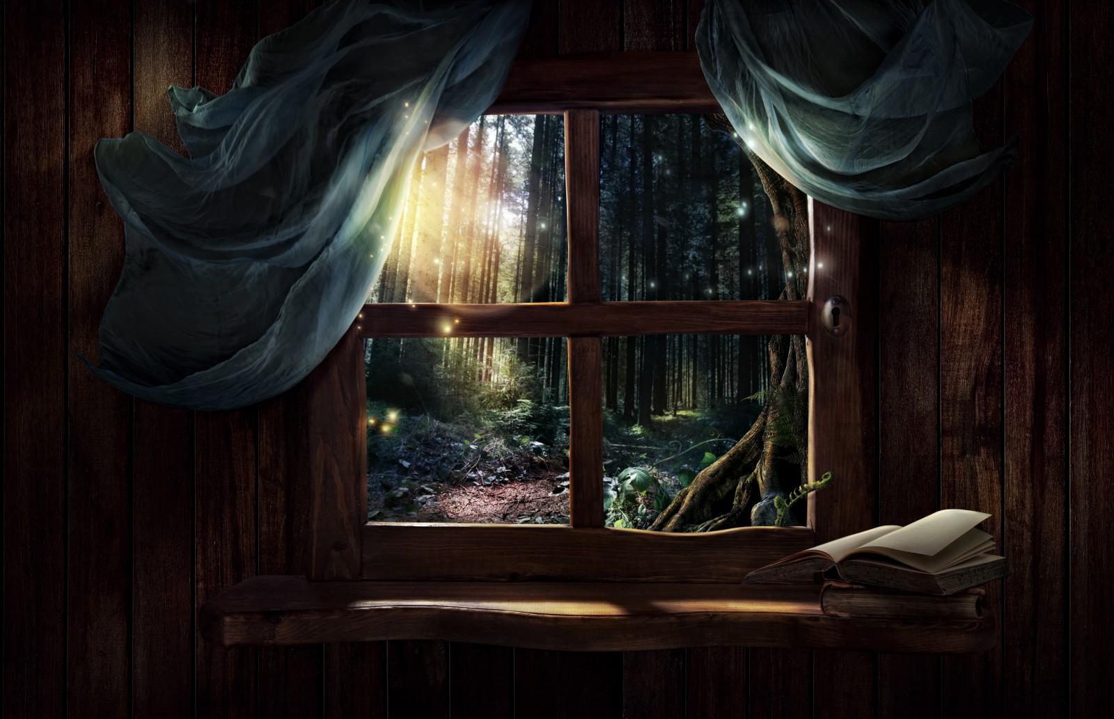 Фотообои вид из окна Лесные лучи 