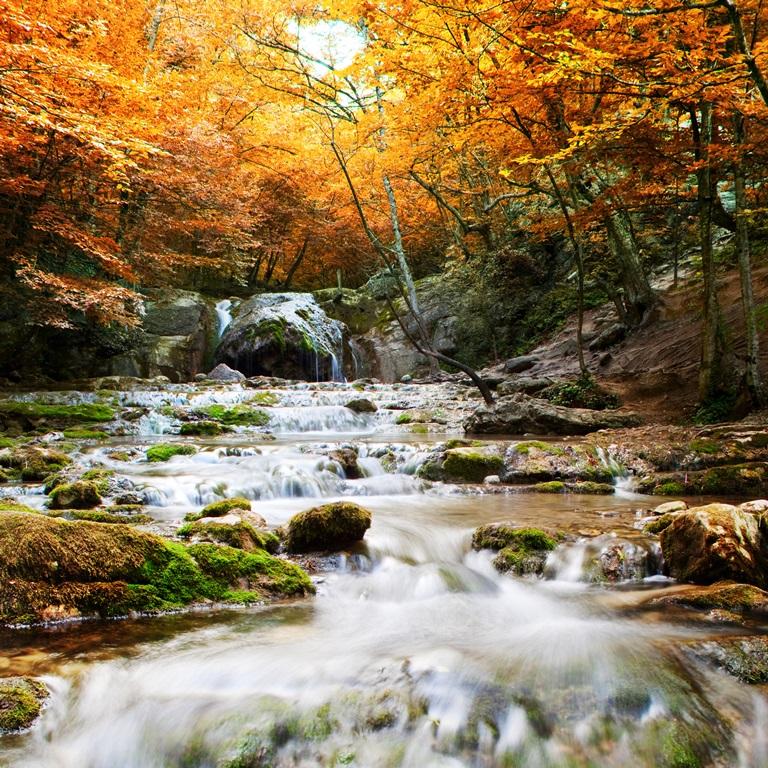 Фотообои Осенний водопад