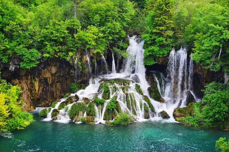 Фотообои Лесные водопады и природа 