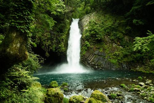 Фотообои Лесной водопад и природа 